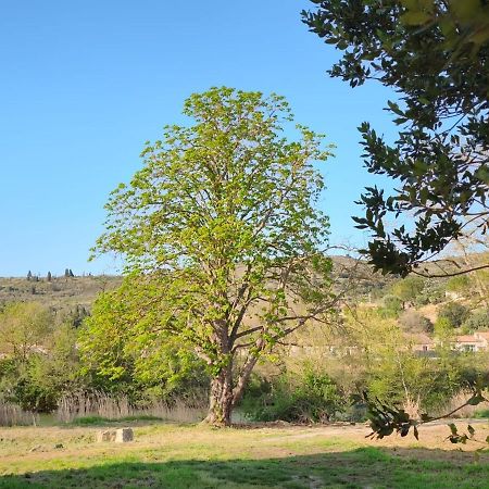 La Maison De L'Aqueduc Cournanel Zewnętrze zdjęcie